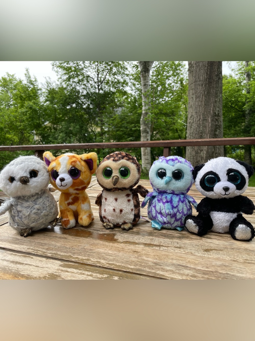 Ty 6 inch Plush Beanie Boo Set - Owlette, Oscar, Bamboo, Pablo, and Sammy